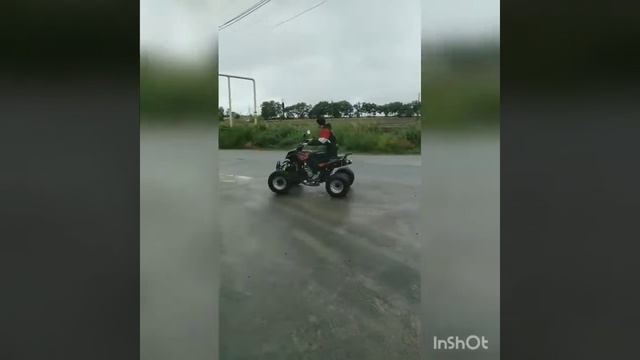 Квадроцикл Bashan 250