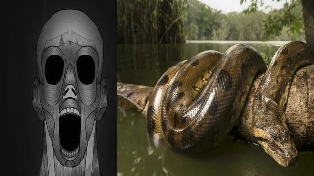 когда у тебя герпетофобия: смотреть онлайн