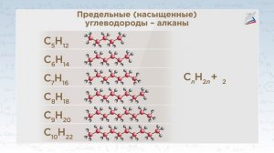 Органическая химия. Углеводороды. Предельные (насыщенные) углеводороды.