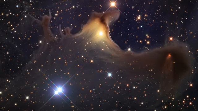 Zargon смотреть онлайн