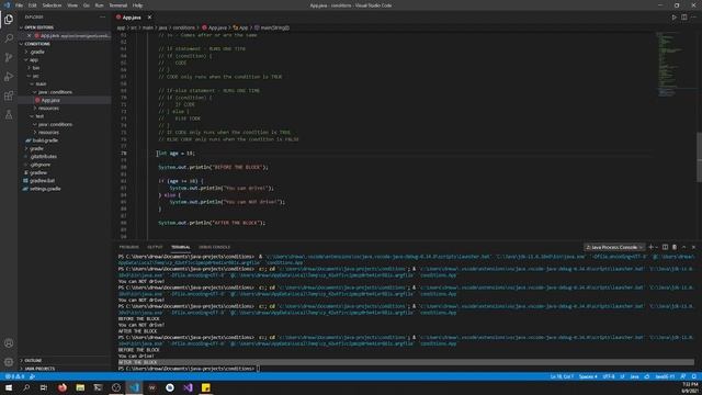 Java Programming 13: Conditionals (If-Else) смотреть онлайн