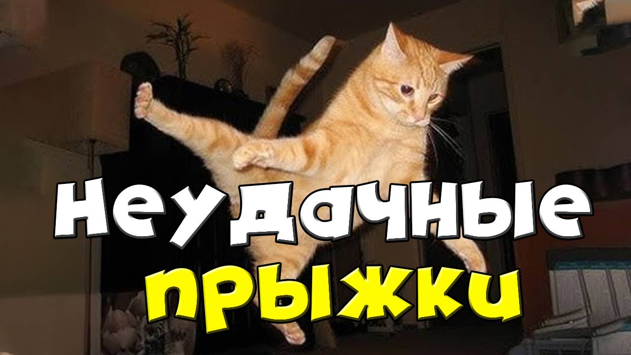Подборка неудачных прыжков забавных кошек смотреть онлайн