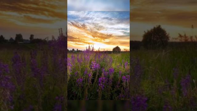 Доброго, солнечного, весеннего утра вам, Друзья!!!