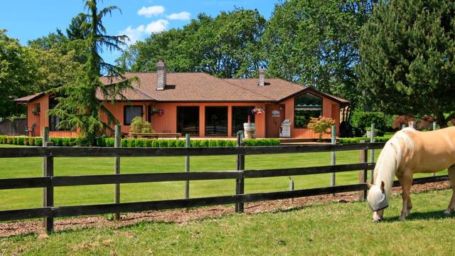 ЧАК ПАЛАНИК [ФАКТЫ]