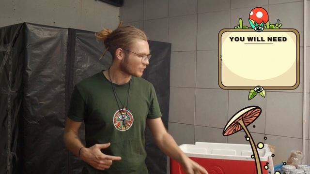 How to Incubate Mushrooms: DIY Incubator смотреть онлайн