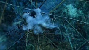 Группа Сплин. Офицальный клип.  Остаёмся зимовать Official video.