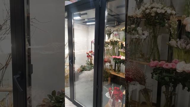 Холодильная камера для цветов цвет антрацит смотреть онлайн
