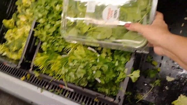США. Продукты купили в "Walmart". Что любим, что покупаем. Раковые шейки. смотреть онлайн