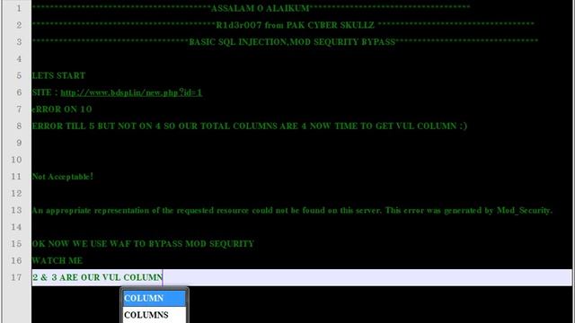 Basic SQL Injection & MOD sequrity bypass смотреть онлайн