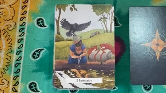 The Witches Wisdom Tarot - Unboxing & First Impressions смотреть онлайн