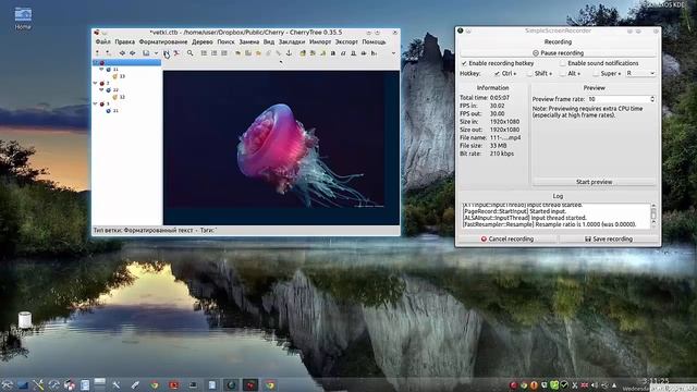 CherryTree 02 Удивительная программка смотреть онлайн