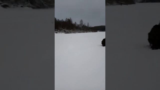 Рыбалка на Вологде 6 смотреть онлайн