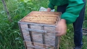 Как не допустить роение пчел.Как вывести пчел с роевого состояния. Вывод з роевого состояния карник