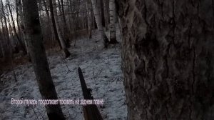 ВОТ ЭТО ТОК! ГЛУХАРИ КРУГОМ! Охота на глухаря на току. Весенняя охота на глухаря с подхода под песн