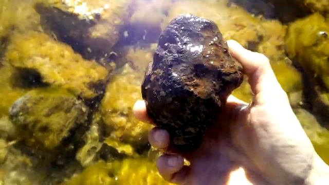 ГДЕ ИСКАТЬ #МОРМЫШ #БОКОПЛАВ #ГАММАРУС #gammarus смотреть онлайн