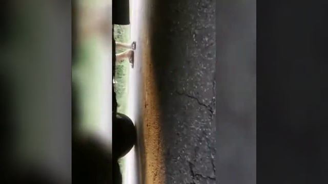 ВАЗ 2105 ПО ПОЛЯМ ПРОВЕРКА НА ПРОЧНОСТЬ смотреть онлайн