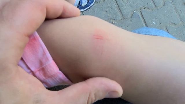 Vlog:Сходили в поликлинику/Собираем документы в детский сад/Гуляем/Ждём гостей/Манго выжил смотреть онлайн