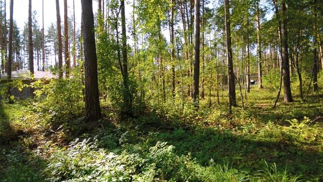 Посёлок в Кашино, полёт смотреть онлайн