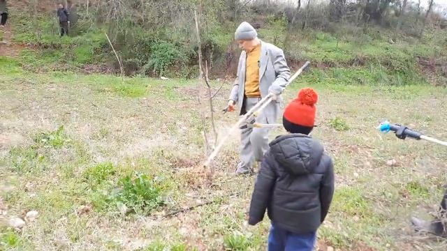 CEVİZ BUDAMASI ŞİİRLİ ANLATIM torunumla смотреть онлайн