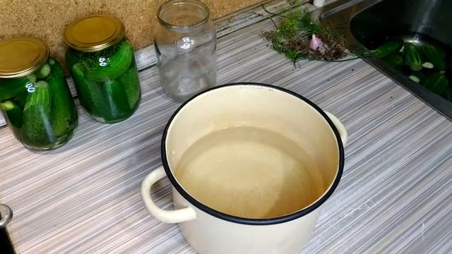 Готовлю три вида огурцов : ) смотреть онлайн