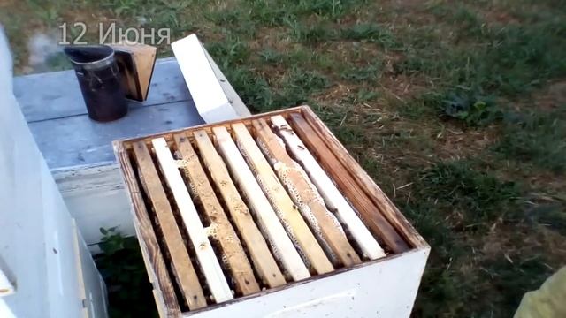 Пчеловодство Годовой цикл по методу пчеловождения на одном гнездовом корпусе рута от Работника смотреть онлайн