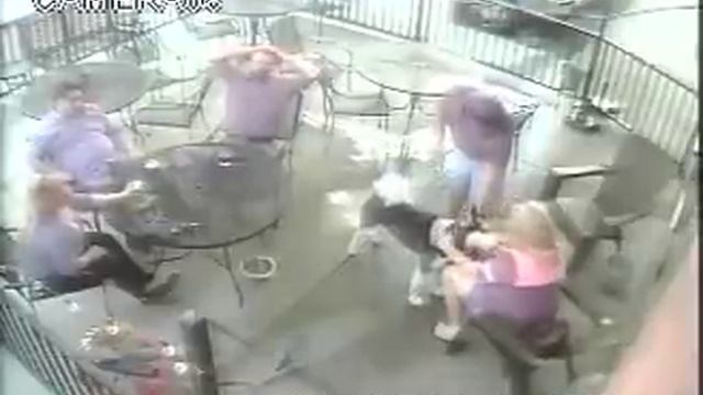 WATCH: Dog attacks woman in Arvada смотреть онлайн