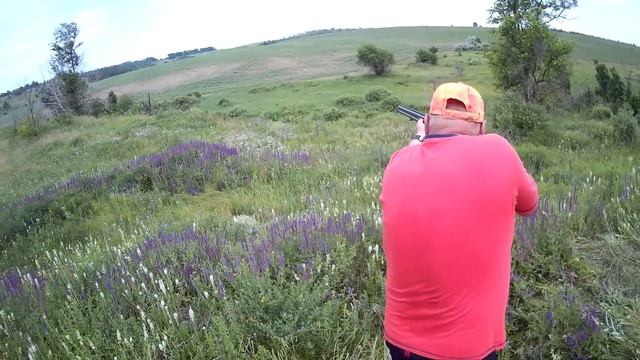 Отдых на выходных. Картечь и пули с разных ружей на 100 метров смотреть онлайн