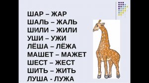 Занятие в логопедической группе:"Дифференциация звуков ж,ш"