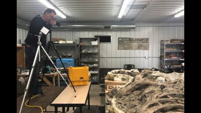 Episode #7: Using Lasers to Stare Into the Eyes of a Pterosaur with Tom Kaye смотреть онлайн