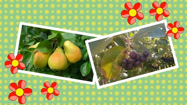 Подарки августа. Между летом и осенью. смотреть онлайн