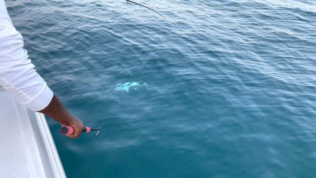 Казахи на Рыбалке в Дубае смотреть онлайн