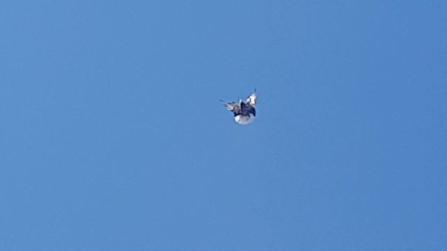 29 июля 2020 г. смотреть онлайн