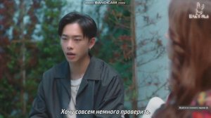 Дорама Любовь это  наука под музыку