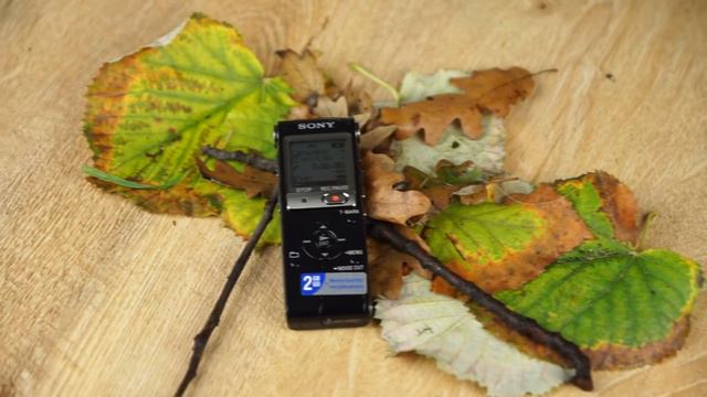 Sony ECM-XYST1M Mikrofon Review/Vergleich смотреть онлайн