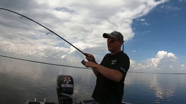 СУДАК В ЖАРУ. Рыба ЖРЕТ как не в СЕБЯ. смотреть онлайн