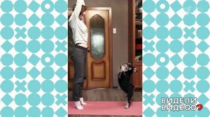 Цвергшнауцер делает зарядку с хозяйкой. Видели видео? Фрагмент выпуска от 26.01.2020