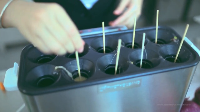 Аппарат сосиска в яйце смотреть онлайн