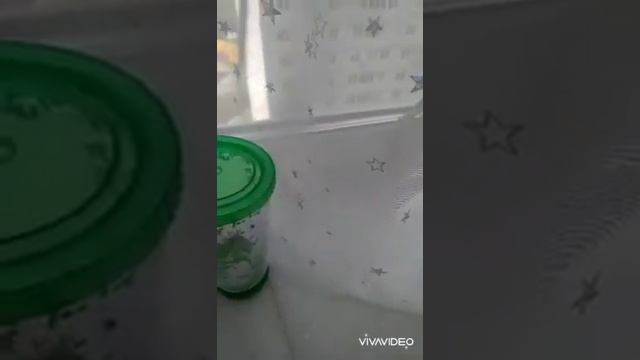 Стакан O'Kitchen светящийся смотреть онлайн