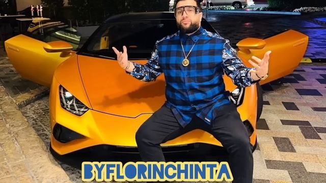 Tzanca Uraganu-Sistem Shaggy 2023 by Florin Chinta смотреть онлайн