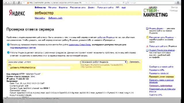 Внутренние факторы ранжирования. Вебинар SeoPult смотреть онлайн
