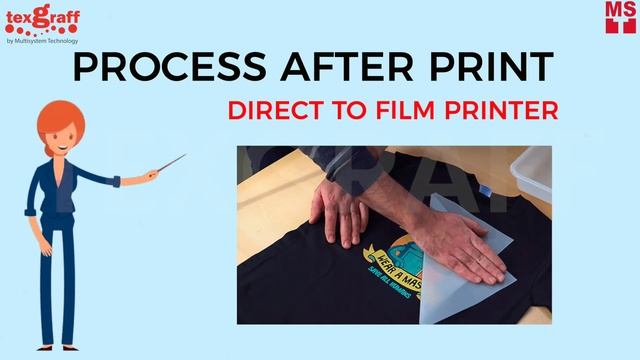 DTF vs White Toner Transfer Printing смотреть онлайн