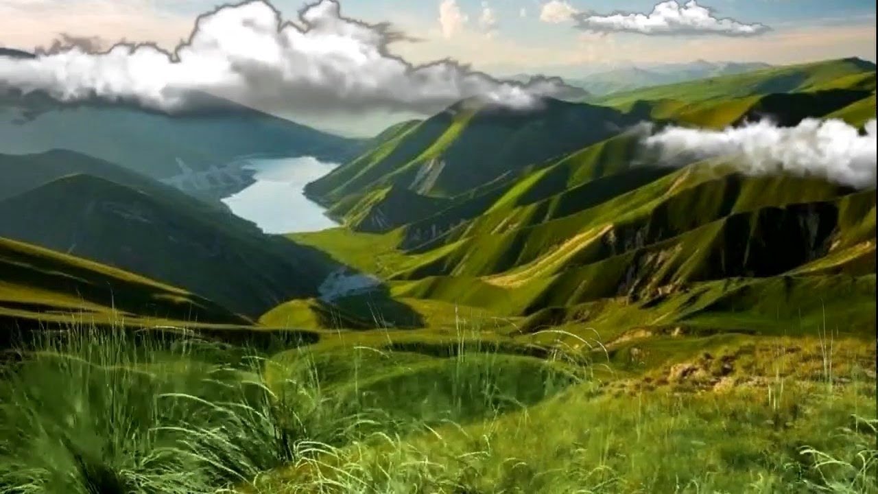 🐺Лучшие Чеченские Песни🐺