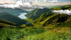 🐺Лучшие Чеченские Песни🐺