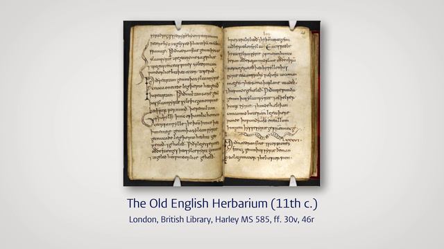 Anglo-Saxon learning and intellectual import from the Middle East and Northern Africa смотреть онлайн