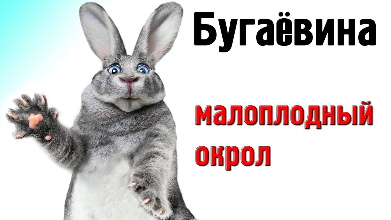 Малоплодный окрол в вольере. Бугаёвина смотреть онлайн
