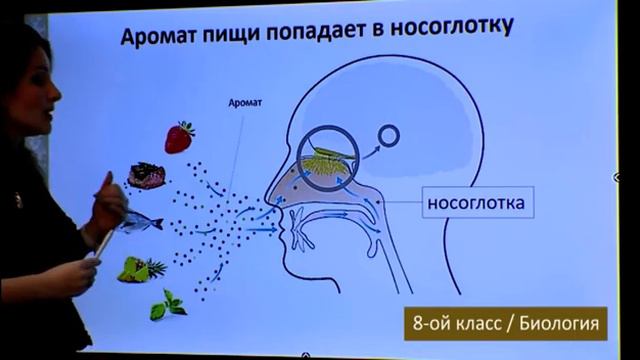 “Dərs vaxtı”: 8-ci sinif dərsləri (rus bölməsi) (27.05.2022) смотреть онлайн