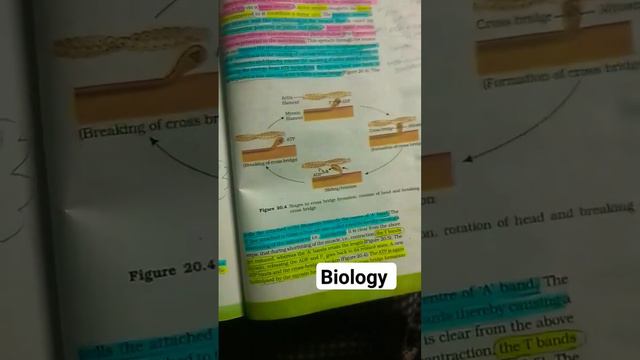 locomotion and movements #neetbiology #biology #neetexam #biologybook #motivation #neet2024 смотреть онлайн
