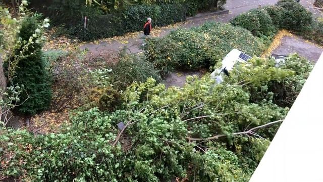 Ураган «Хендрик» в Берлине 21.10.21. Дерево упало на автомобиль стоящий на парковке около дома. смотреть онлайн