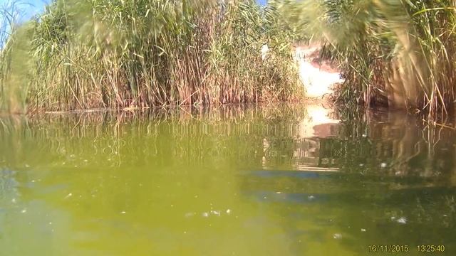 Голубое озеро под Светловодском смотреть онлайн