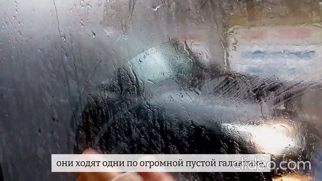 «Знаешь, есть те, кто греет руки свои в карманах...» Стихотворение Ани Захаровой смотреть онлайн